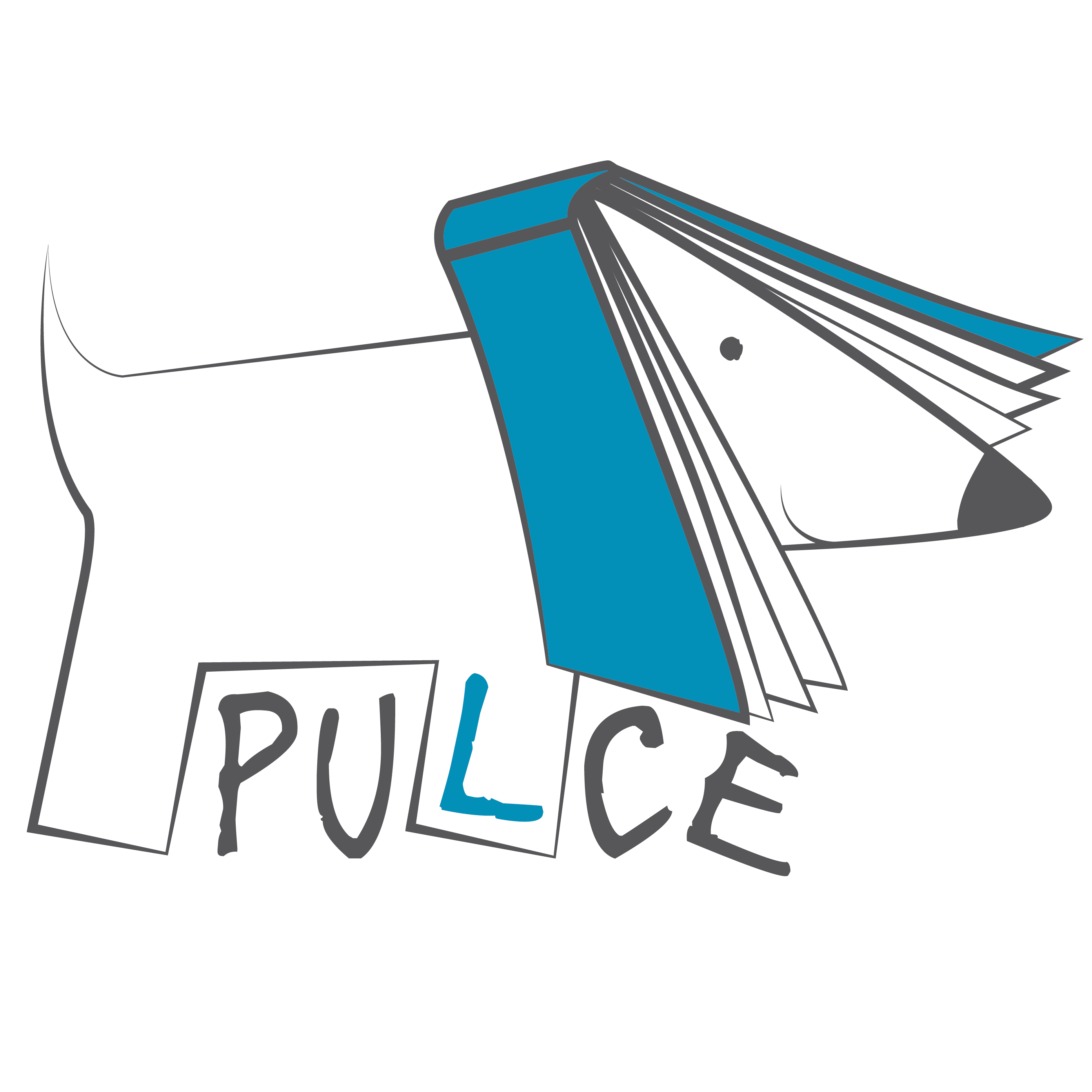 Pulce